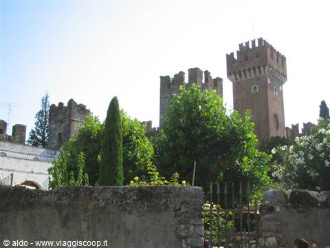 Lazise