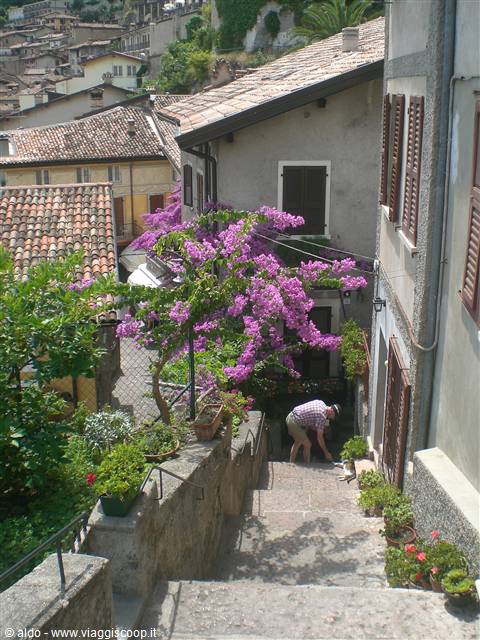 Limone del Garda