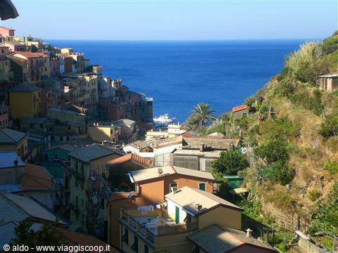 Manarola