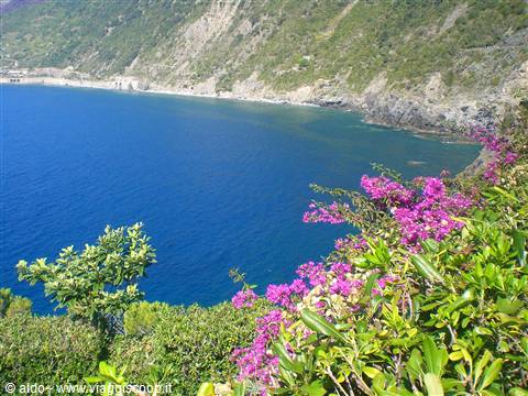 Manarola