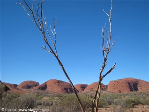 Kata Tjuta dalla valley of the winds
