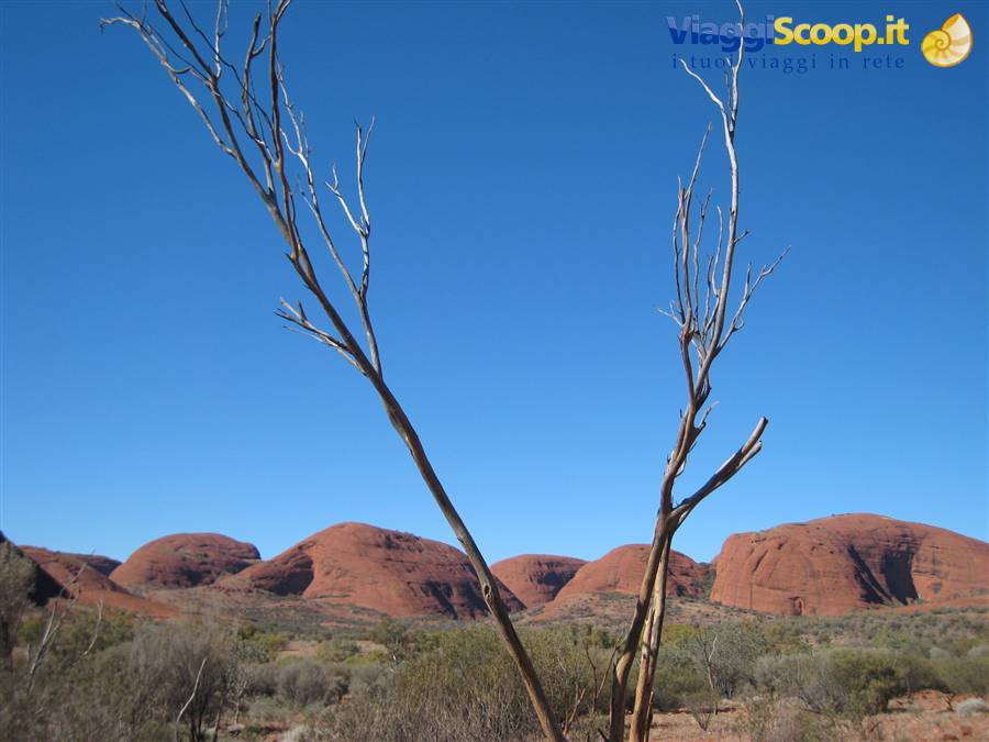 Kata Tjuta dalla valley of the winds
