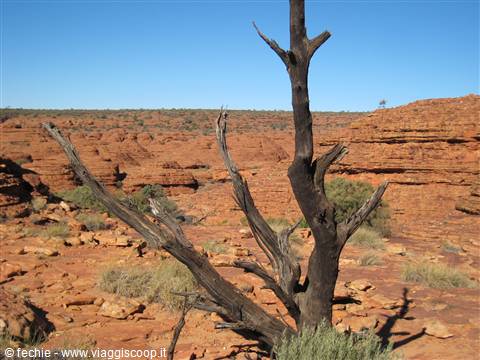 Kings Canyon