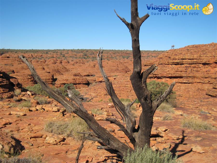 Kings Canyon