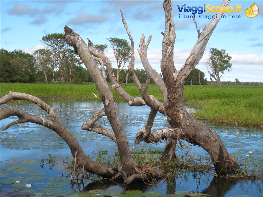 East Alligator River di Kakadu