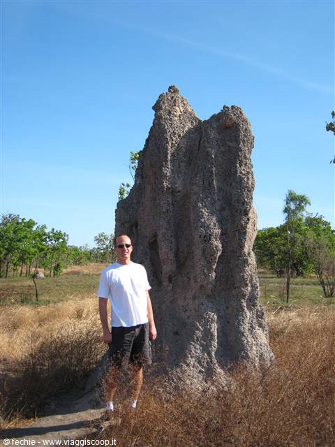 Nido di Termiti a Kakadu