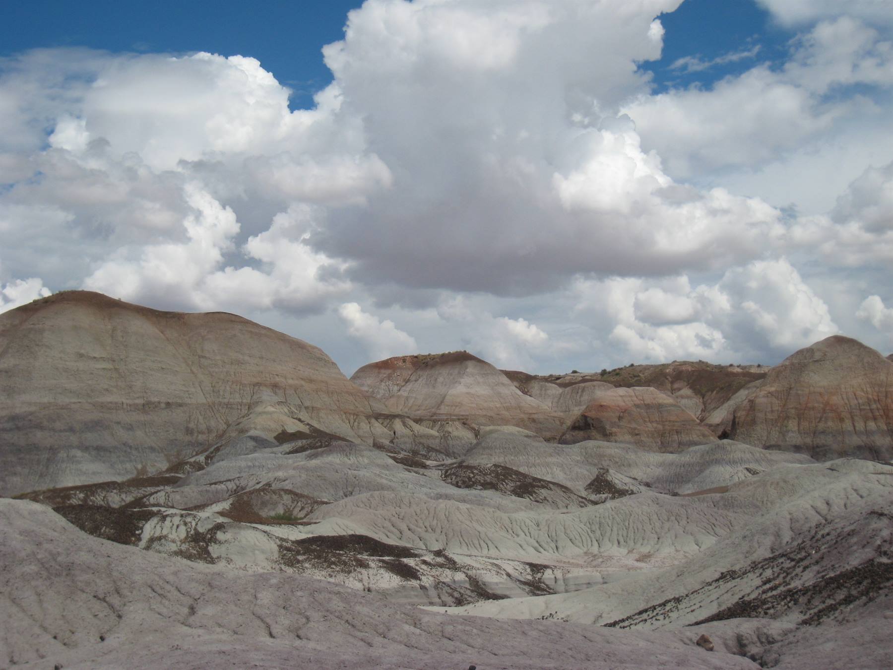 Petrified Forest - Blue Mesa Trail