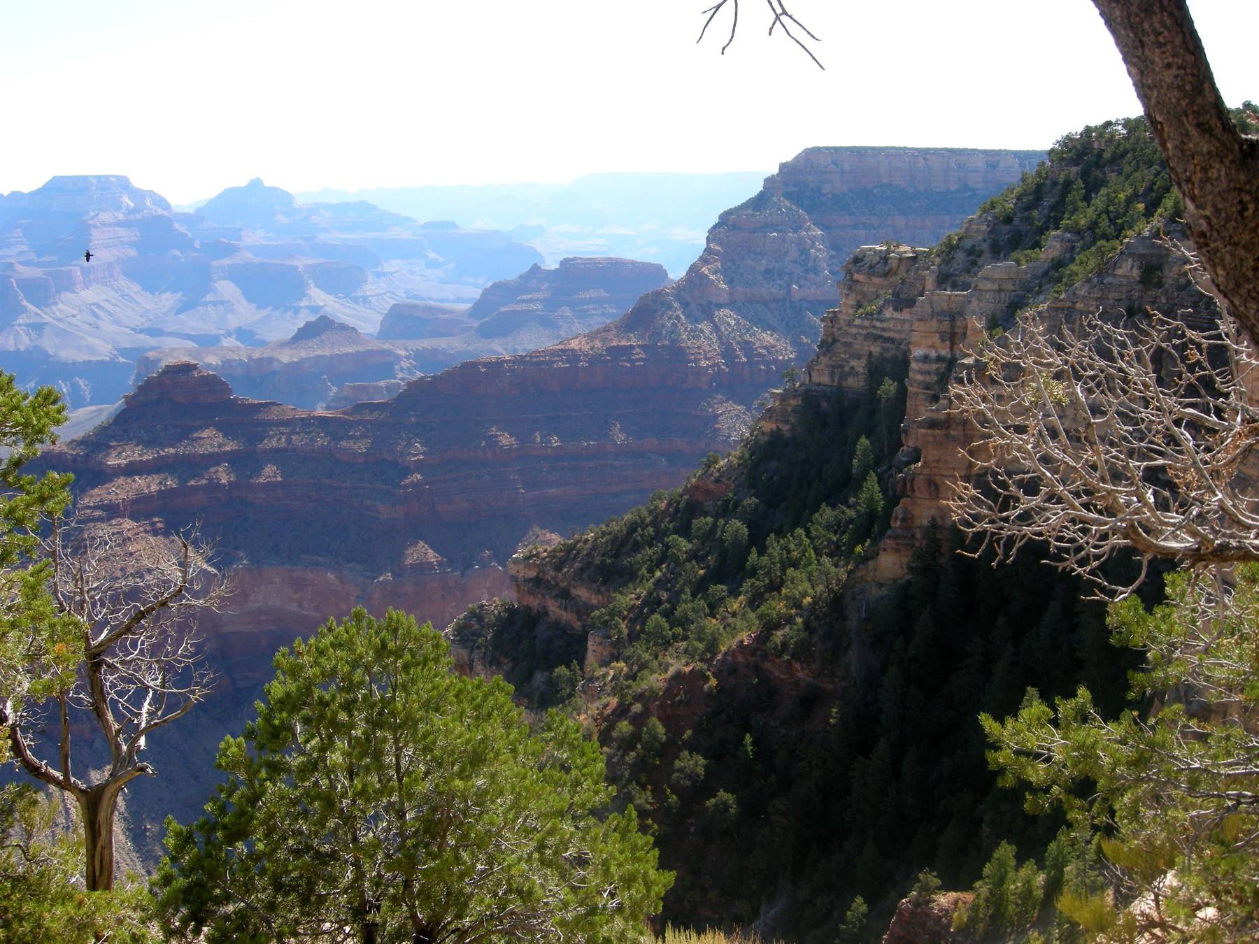 Gran Canyon - South Rim