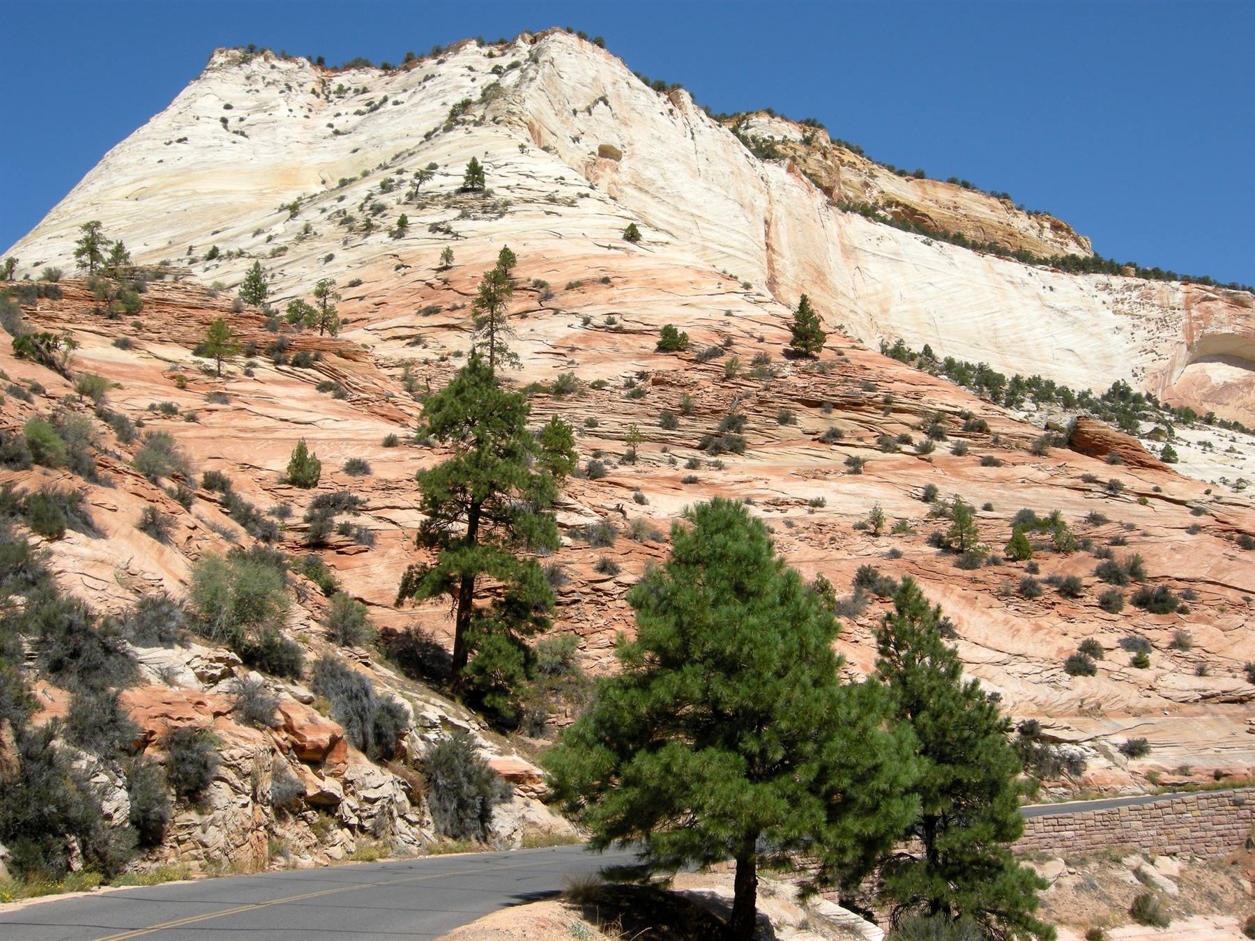 Zion Park