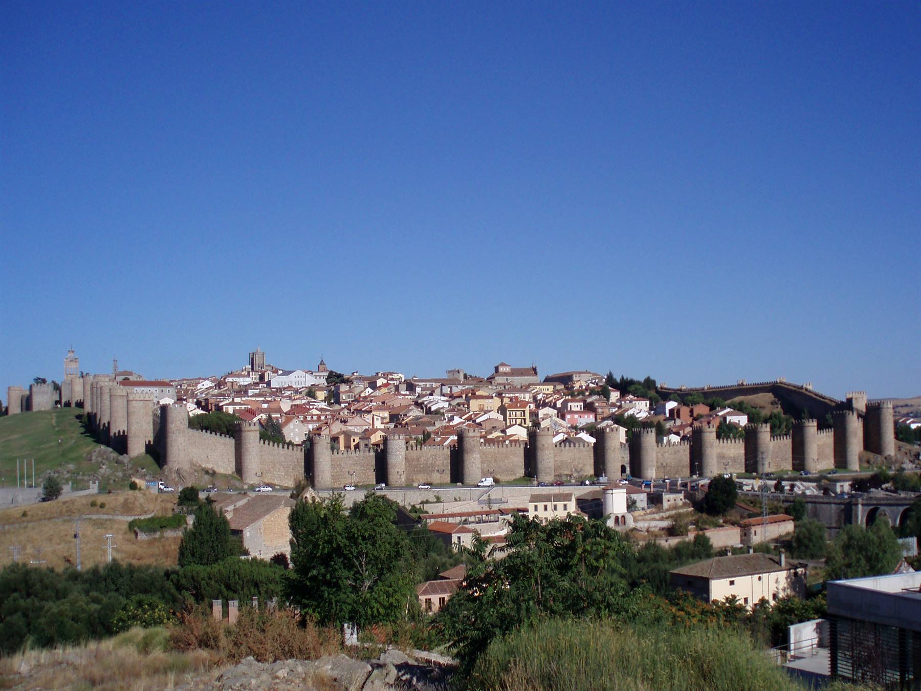 Avilia