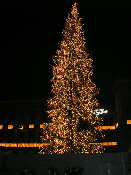 l'albero di natale di piazza del duomo