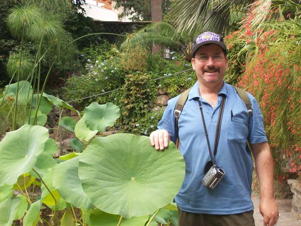 Ischia: I giardini La Mortella
