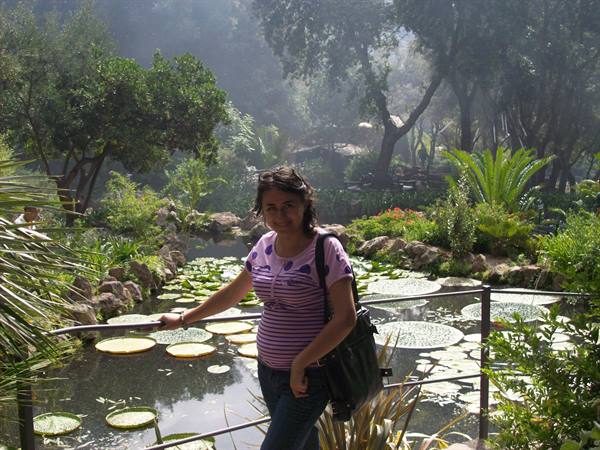 Ischia: I giardini La Mortella
