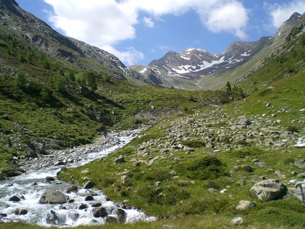 panorami
