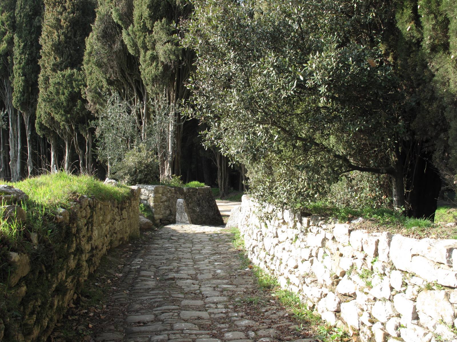 verso il Castello di Brolio