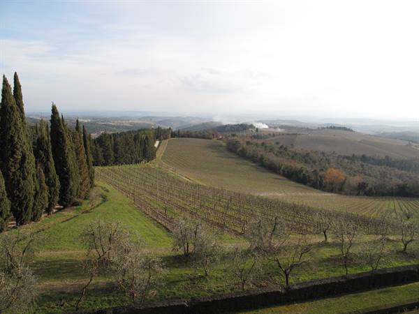 panorama dal castello di Brolio