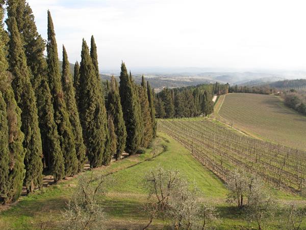 panorama dal castello di Brolio