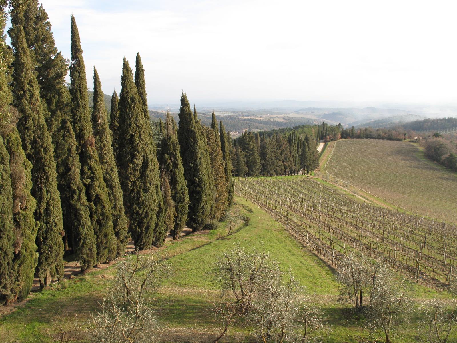 panorama dal castello di Brolio