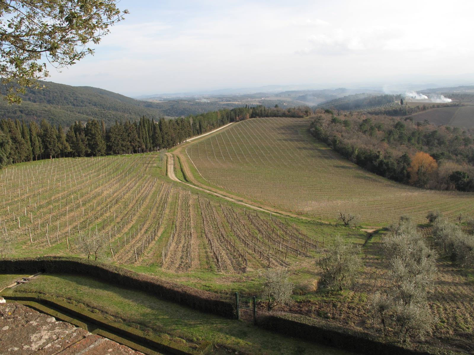 panorama dal castello di Brolio