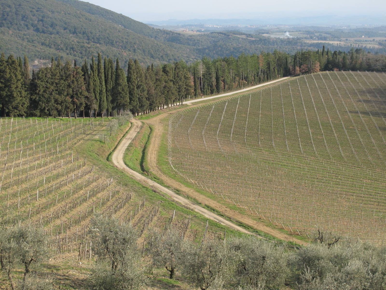 panorama dal castello di Brolio