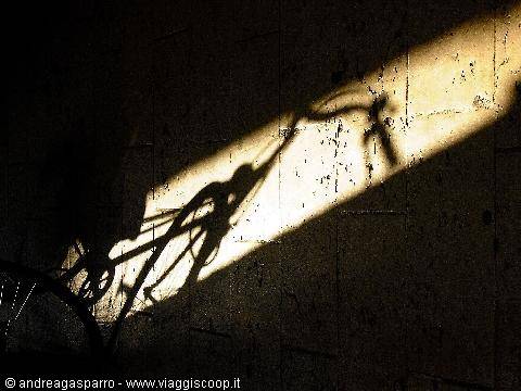 Bici