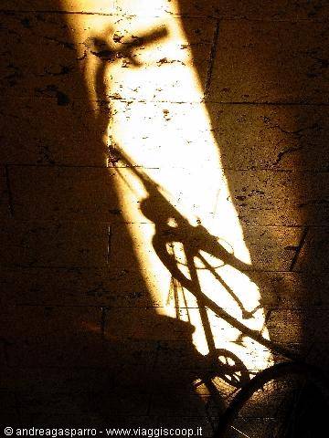 Bici