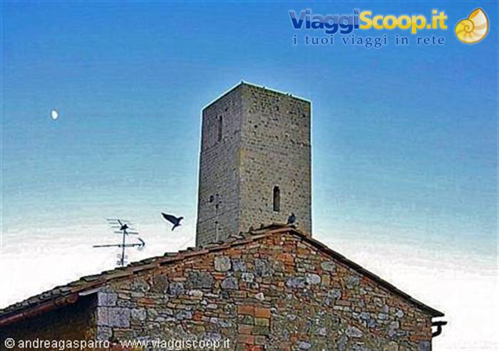 Torre