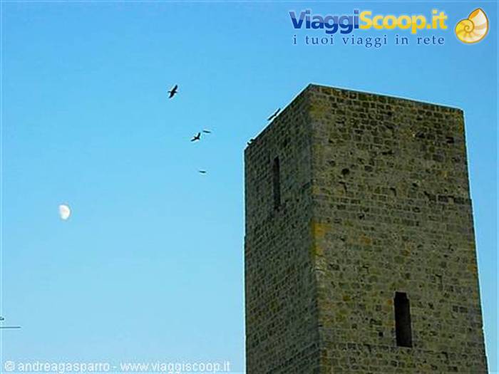 Torre