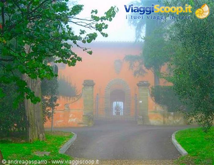 Nebbia mattutina