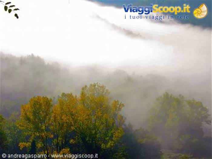 Nebbia
