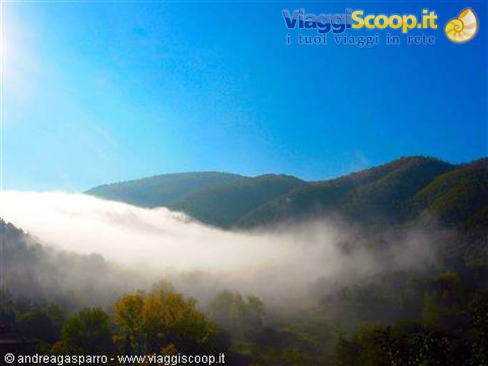 Nebbia a Poggio Tondo