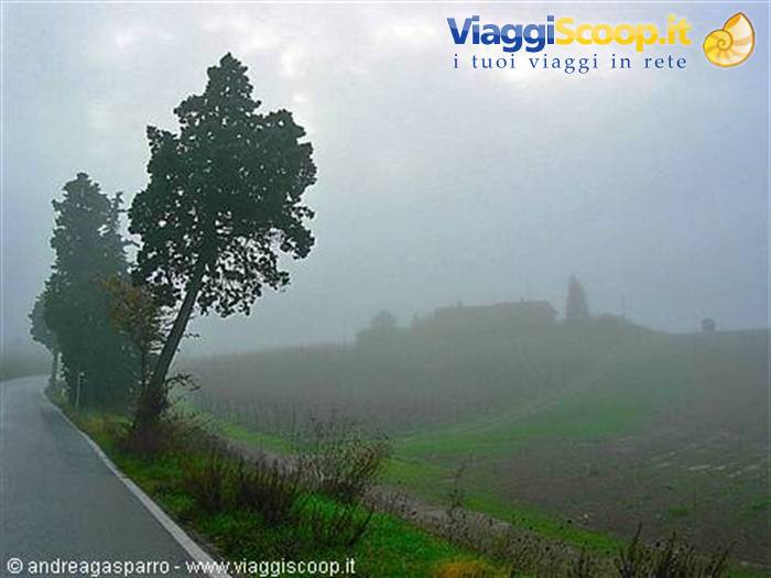 Scende la nebbia