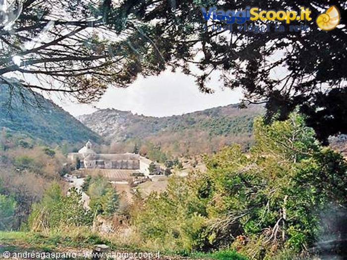 Senanque