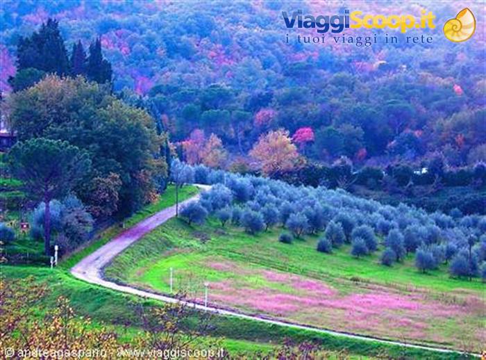 Campagna senza.........