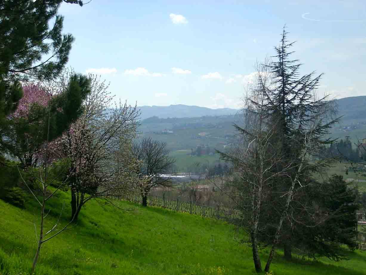 Il paesaggio intorno a Costigliole d'Asti