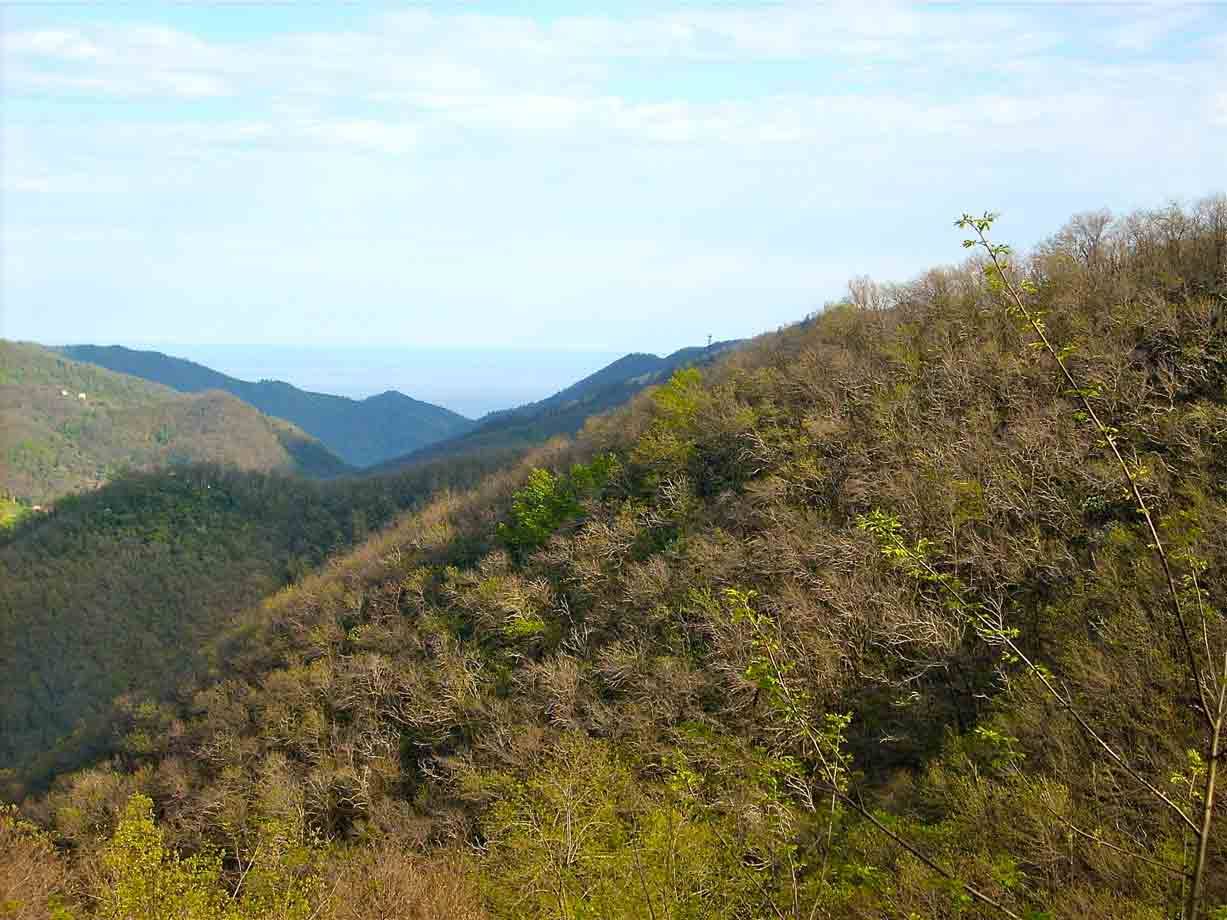 Panorama da Altare, con il mare in lontananza