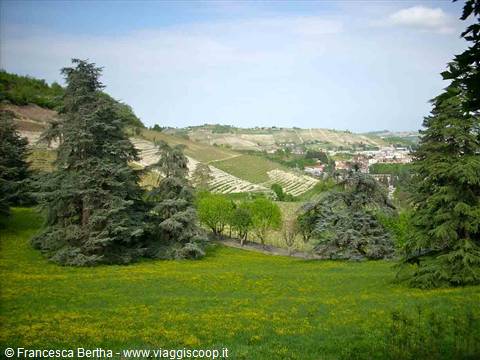Il paesaggio intorno a Canelli