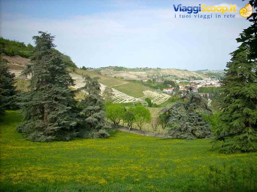 Il paesaggio intorno a Canelli