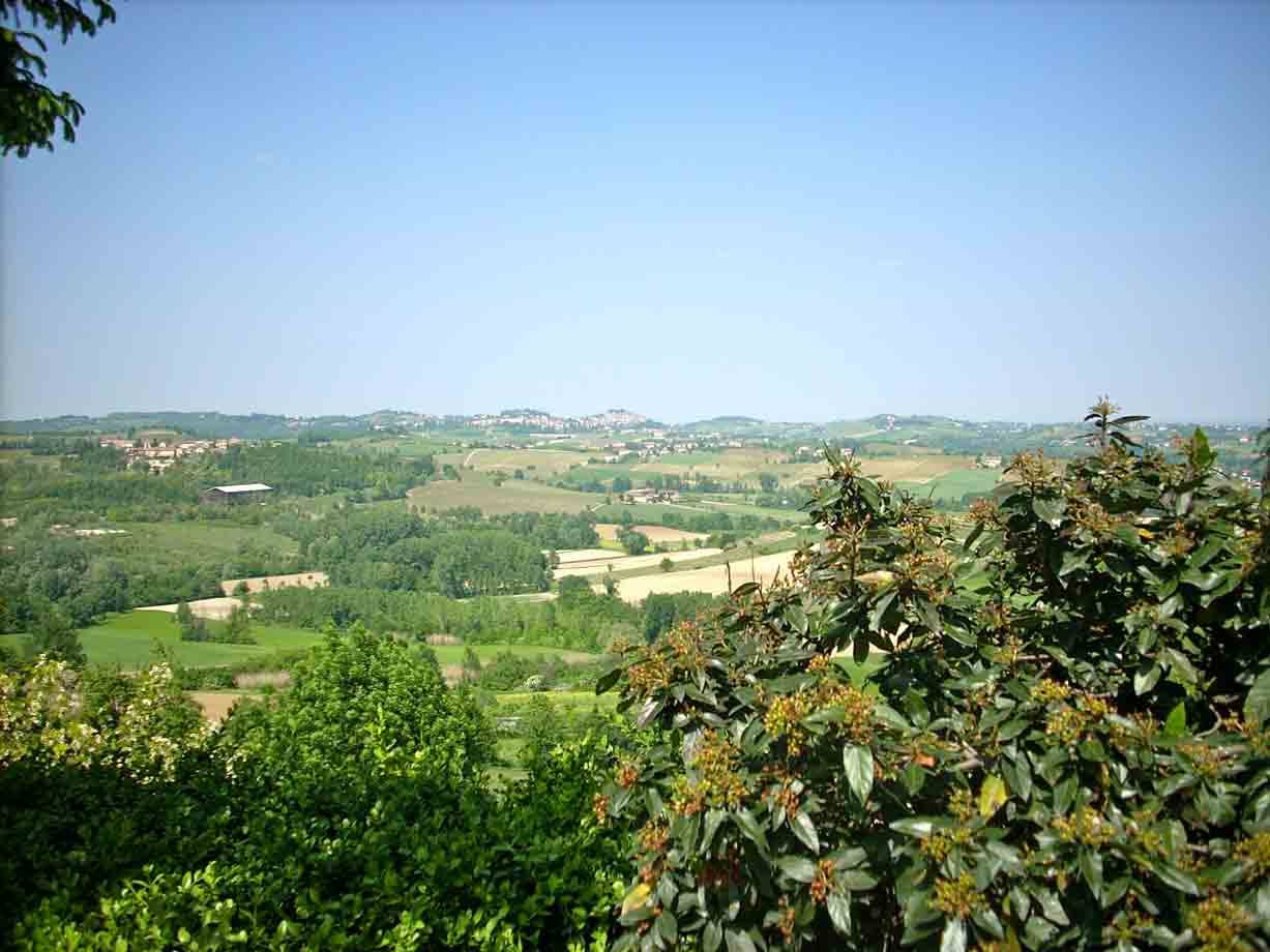 Panorama da Olivola