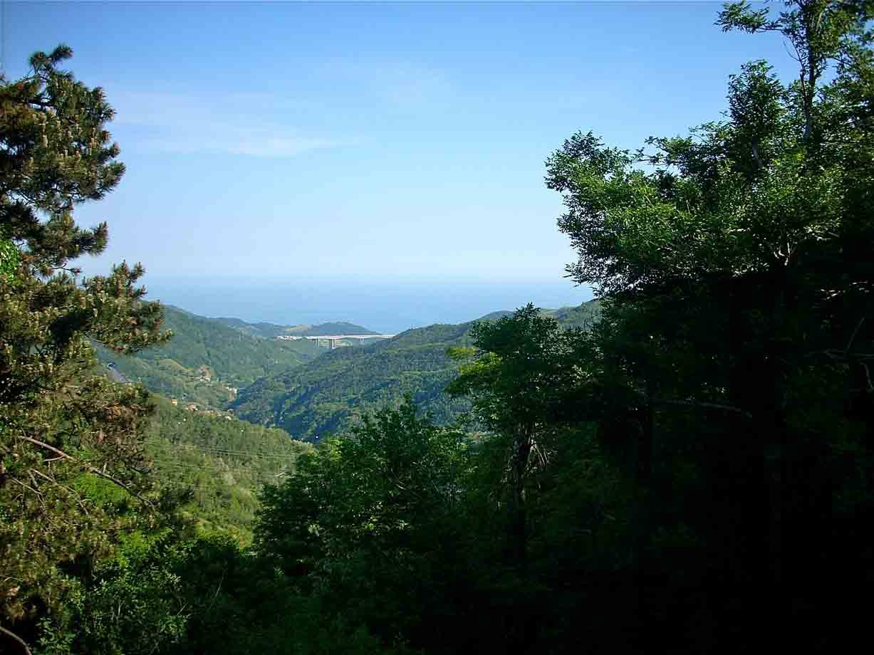 Panorama da Masone