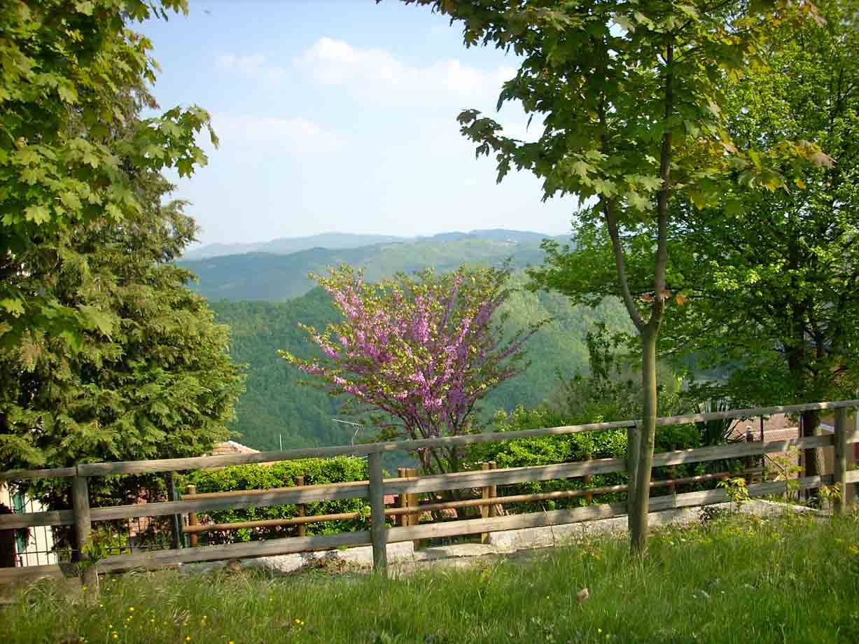 Panorama di Ponzone