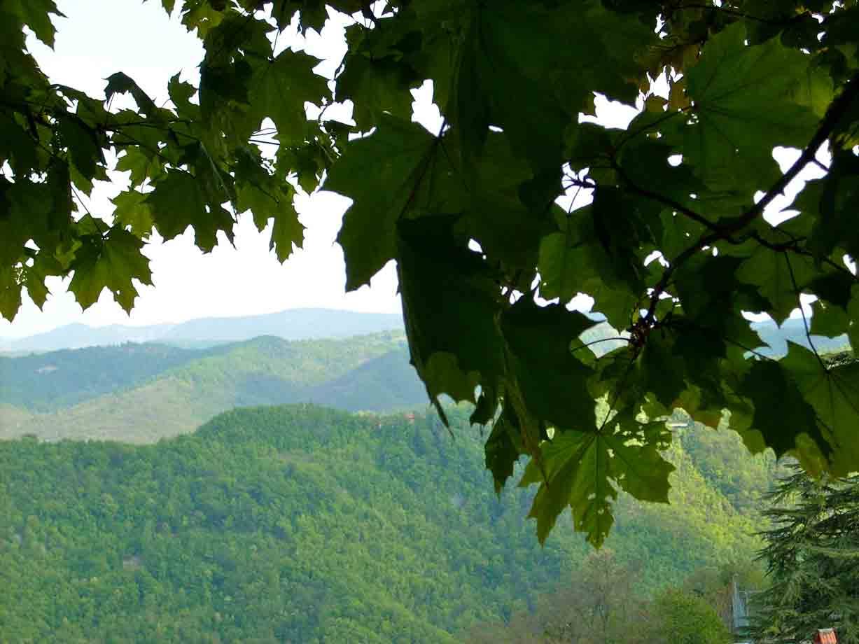 Vista da Ponzone