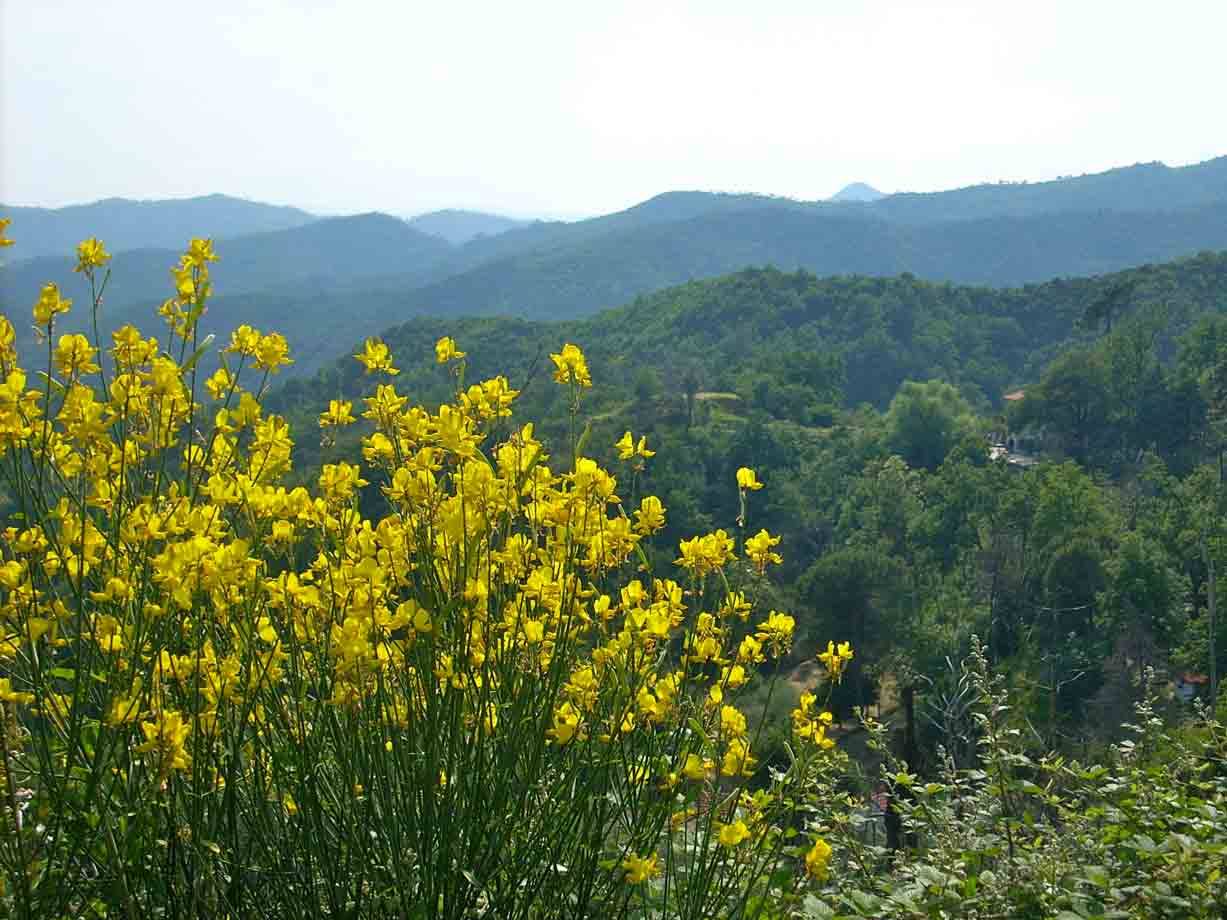 Panorama da Stella