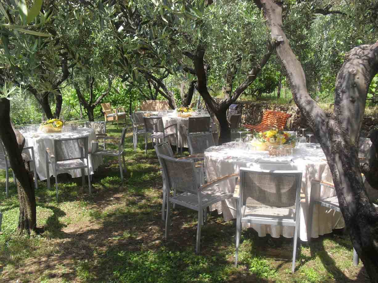 Tra gli ulivi dell'Hotel Ristorante Oro Verde di Bergeggi