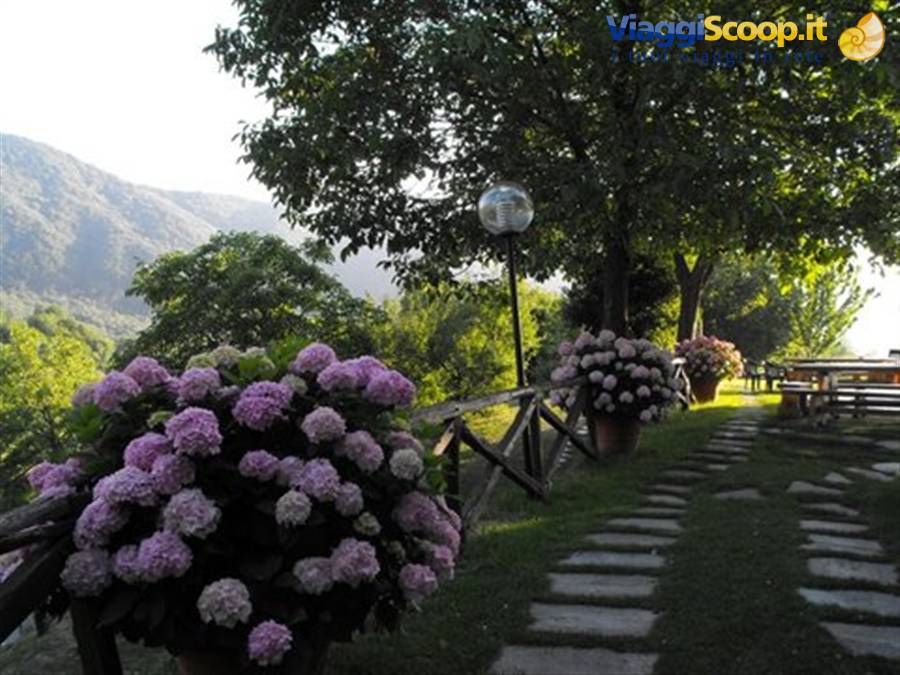 Nel giardino della Cà do Mei