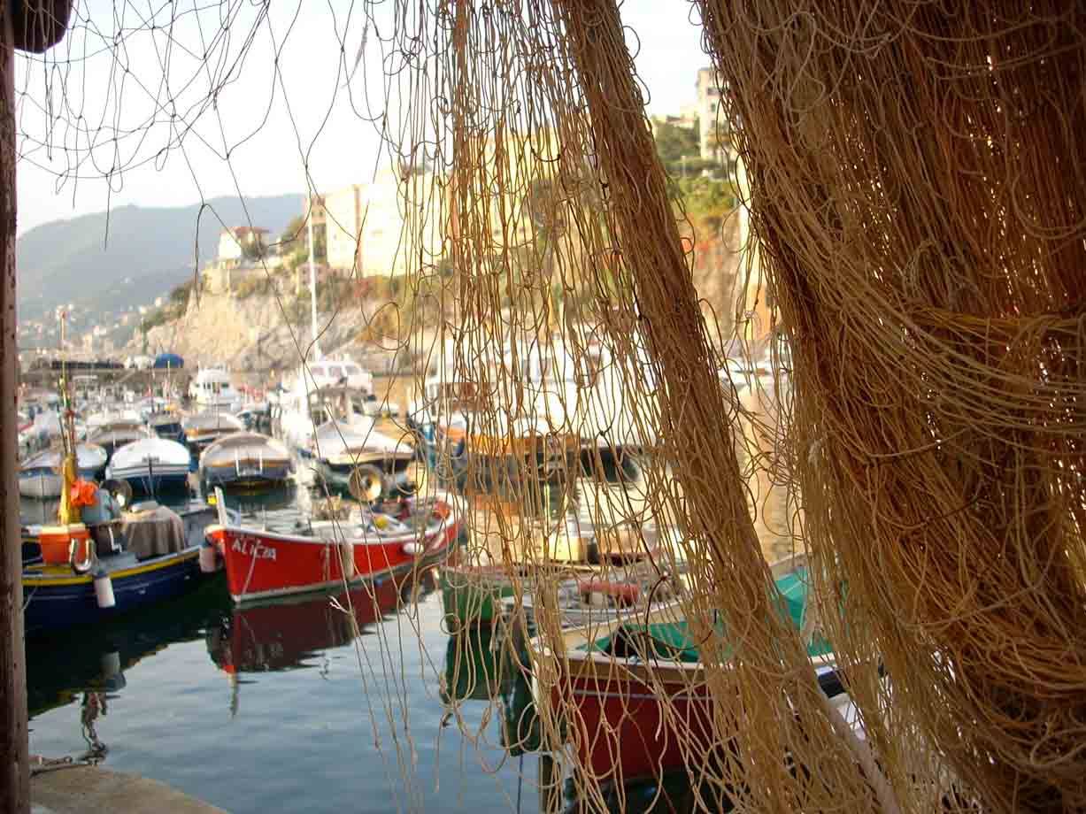Veduta del porticciolo di Camogli
