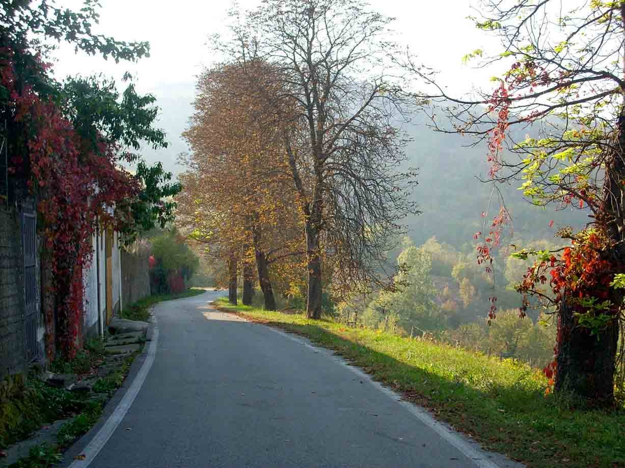 I colori dell'autunno a Prasco