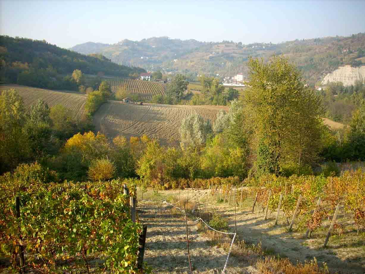 Veduta delle colline e dei vigneti di Prasco