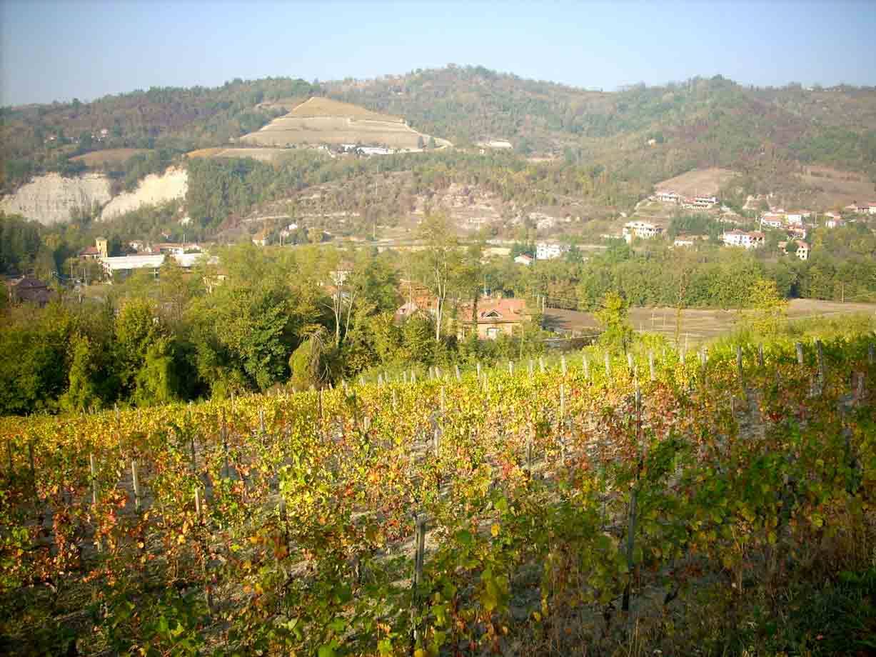 Veduta delle colline e dei vigneti di Prasco