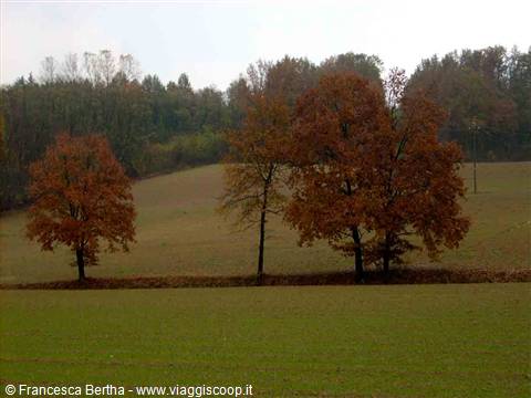 Il paesaggio autunnale